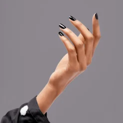 All Black