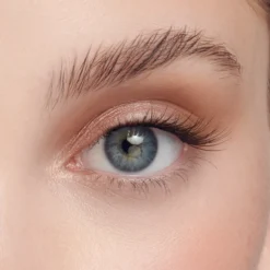 Black Wispy | 1 Pair of Half Lash & 2 Clusters