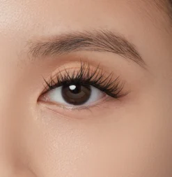 Chic Wispy | 12 Clusters