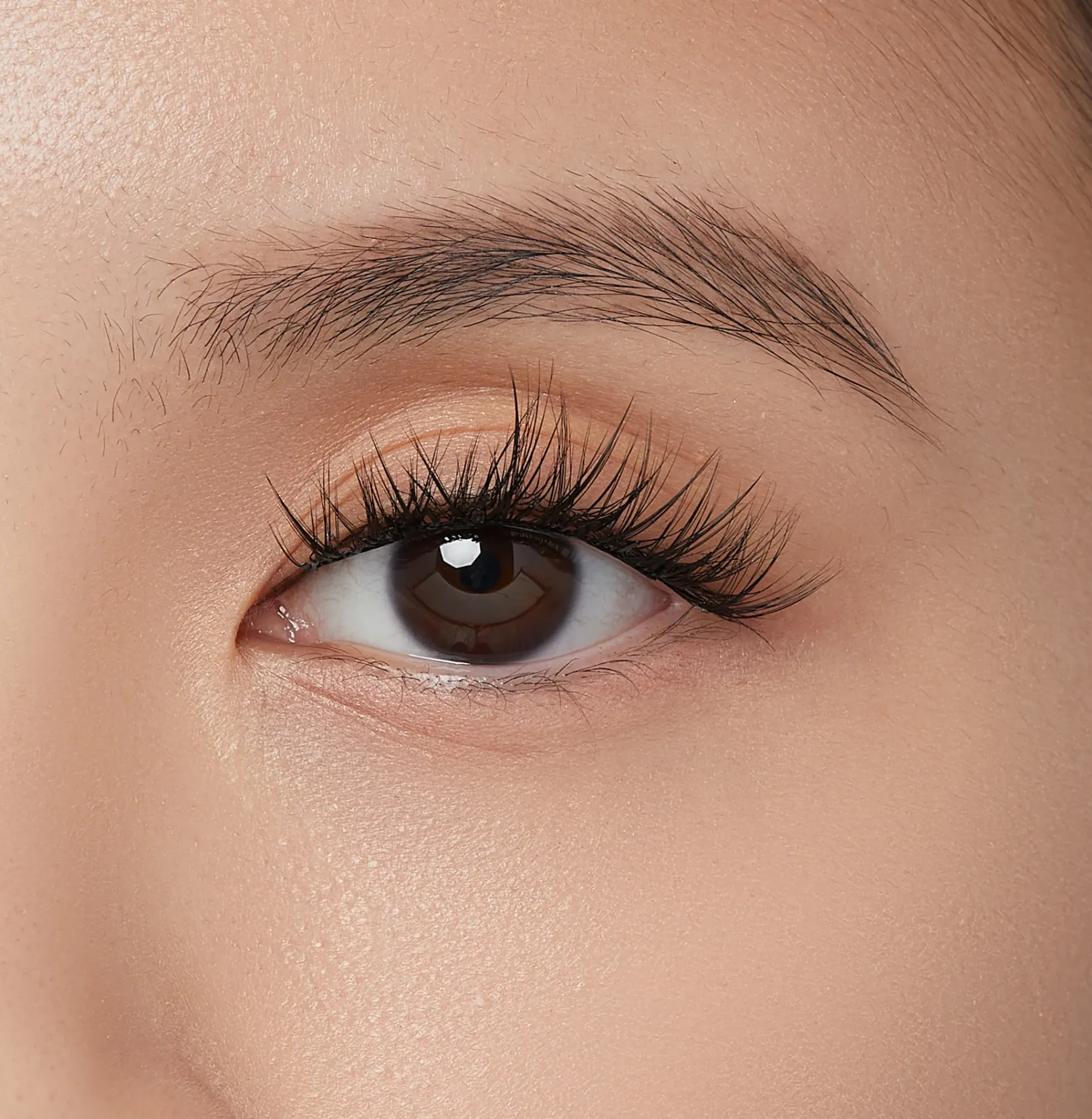 Chic Wispy | 12 Clusters