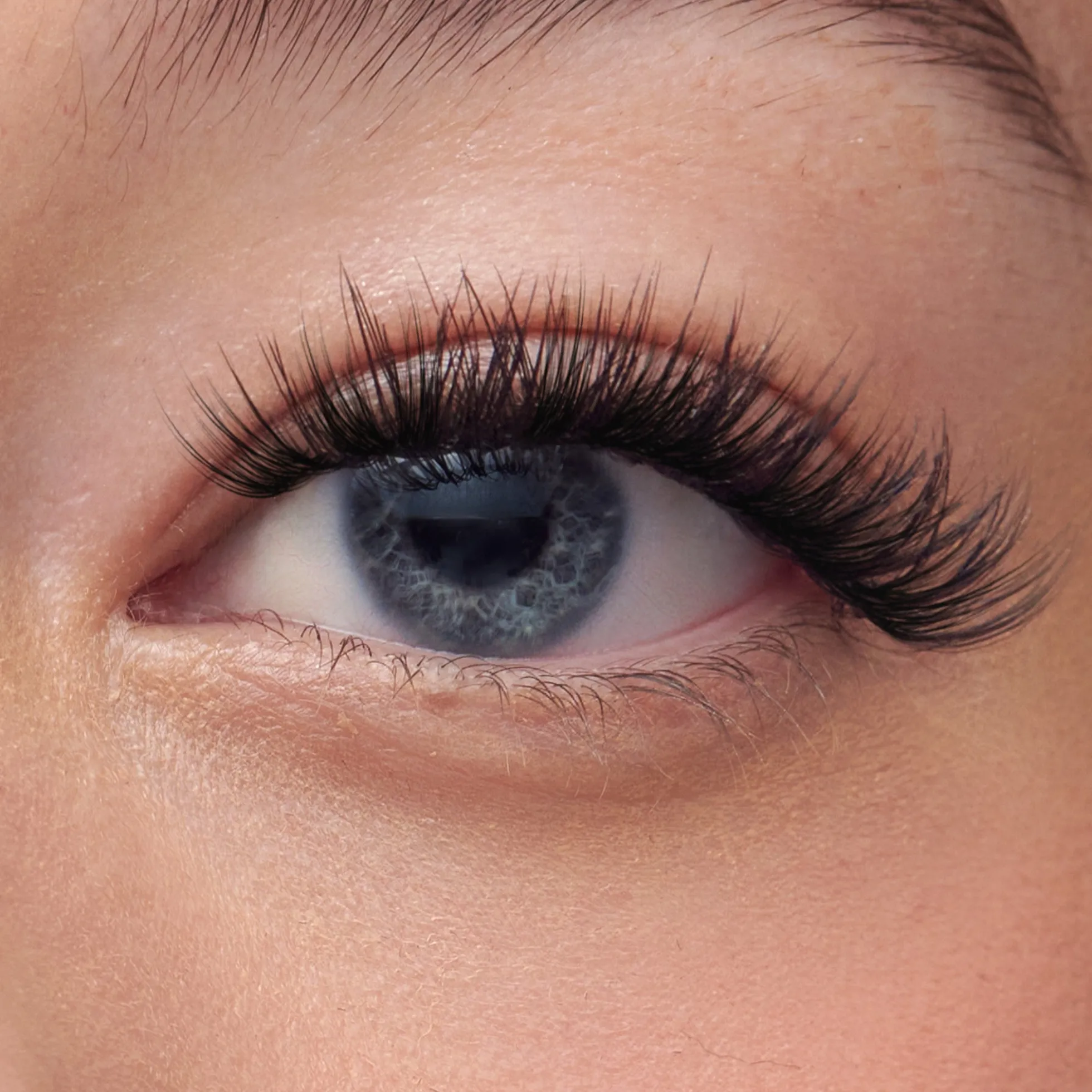 Classic Wispy | 36 Clusters