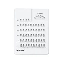 Classic Wispy | 60 Individual Lashes