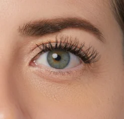 Classy Natural | 12 Clusters
