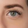 Classy Natural | 12 Clusters