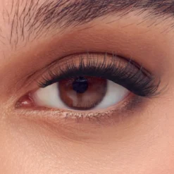 Demi Bold | 24 Clusters