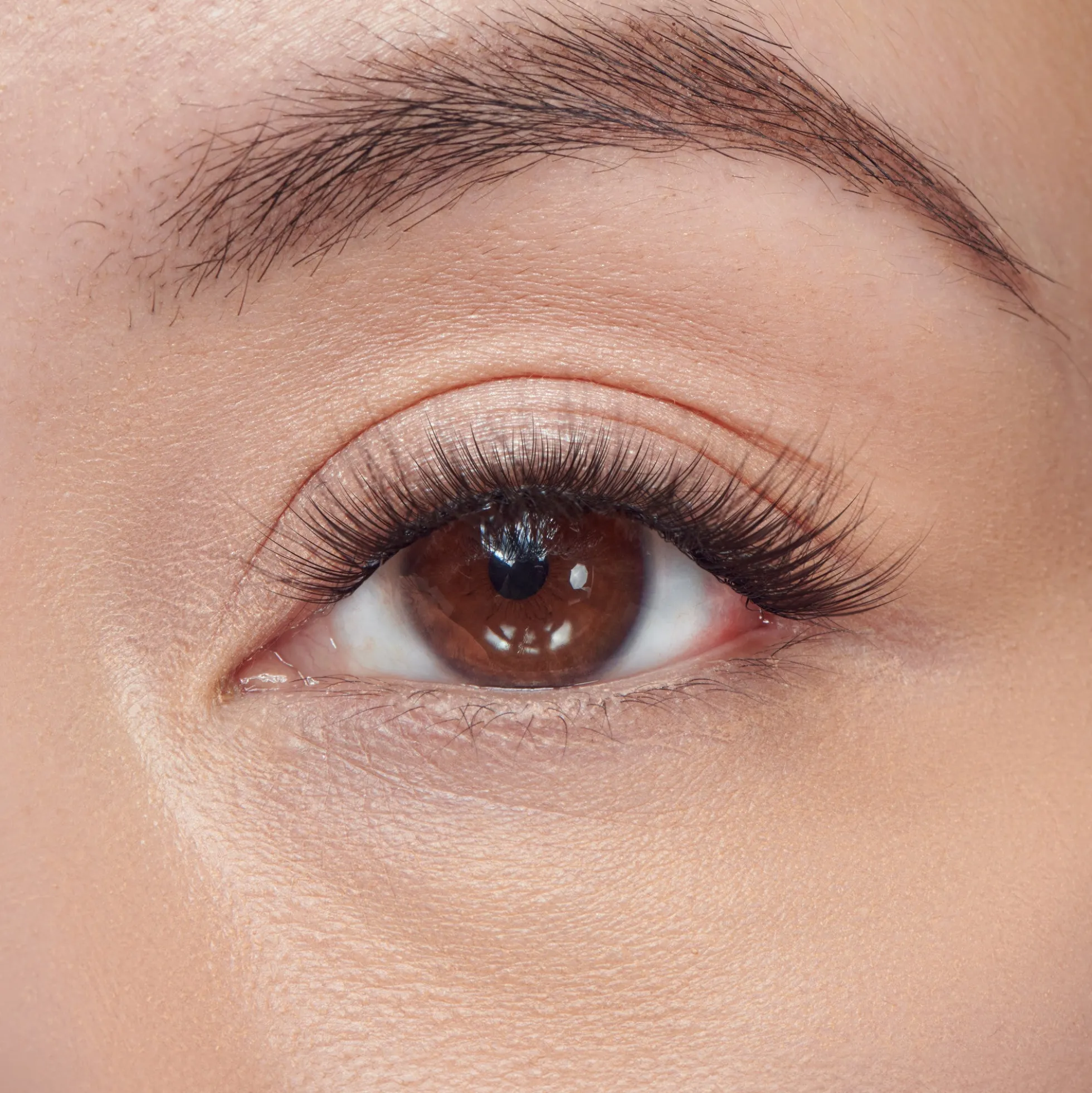 Faux Mink Wisps | 24 Wisps