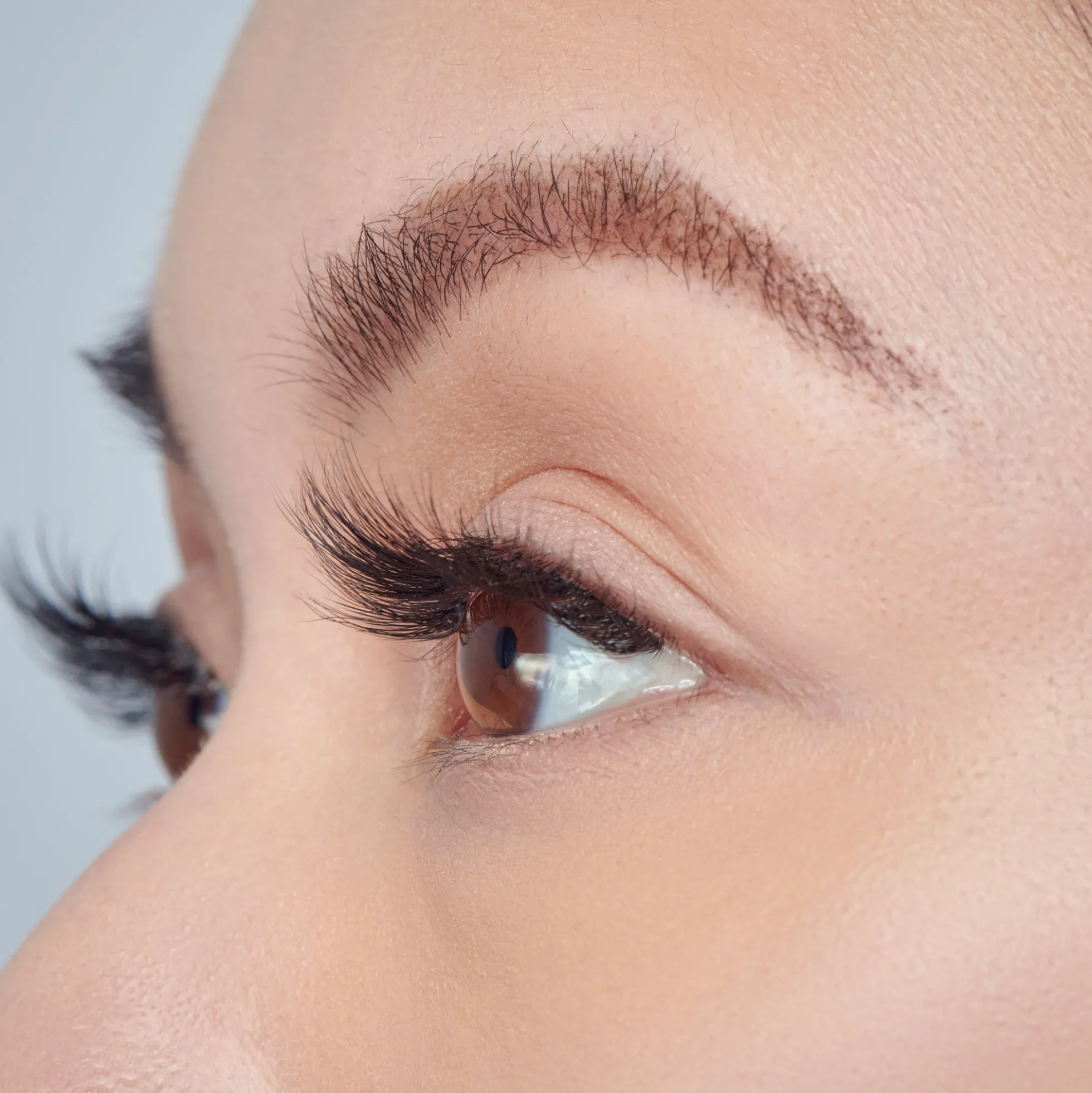 Faux Mink Wisps | 24 Wisps