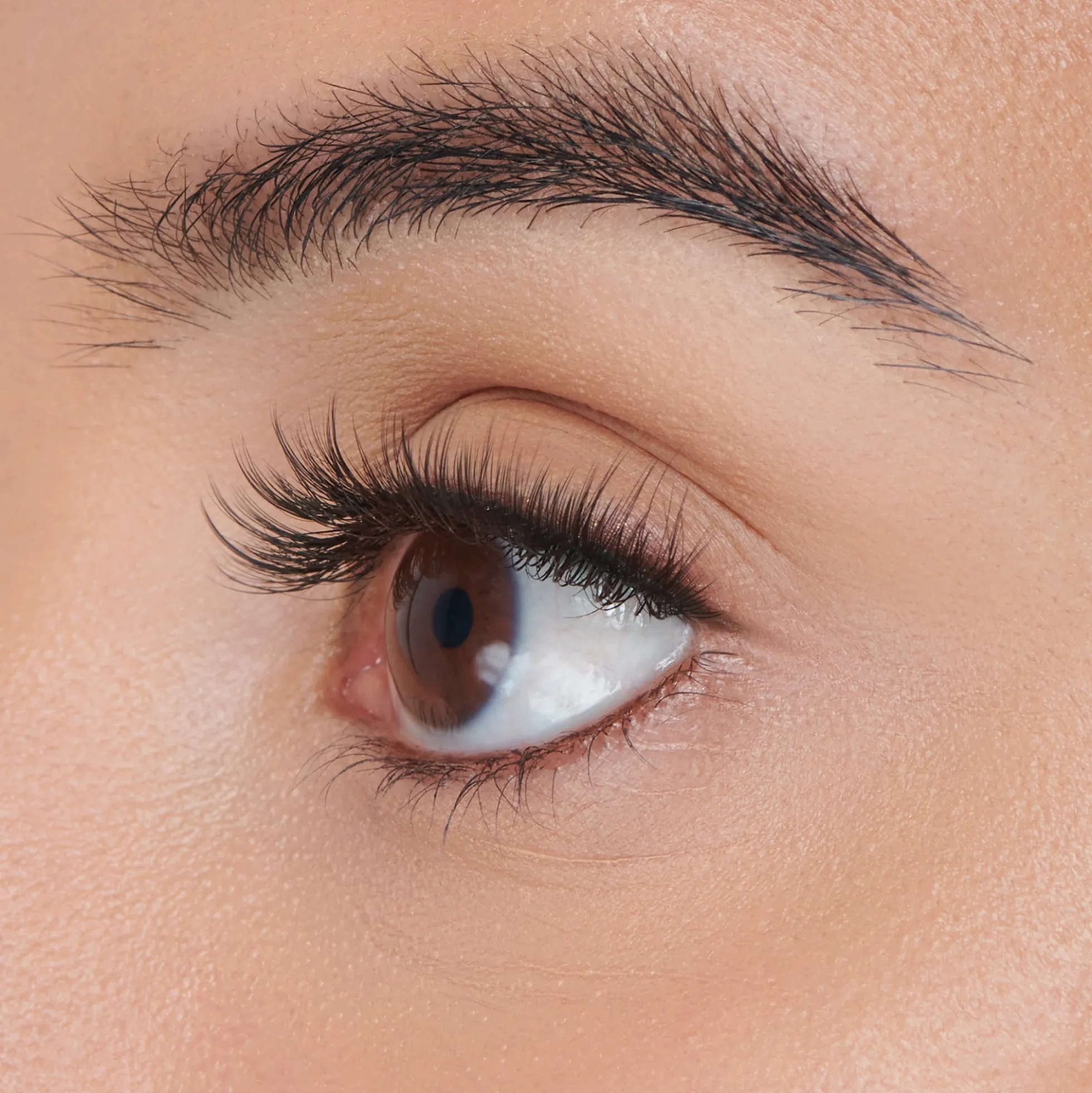 Faux Mink Wispy Wisps | 50 Wisps