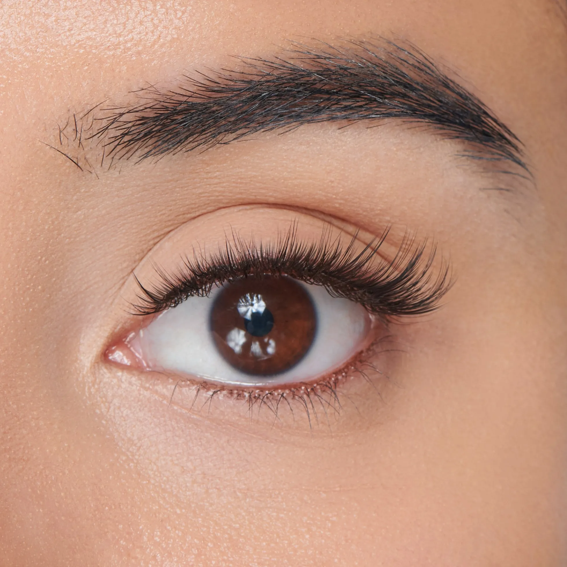 Faux Mink Wispy Wisps | 50 Wisps