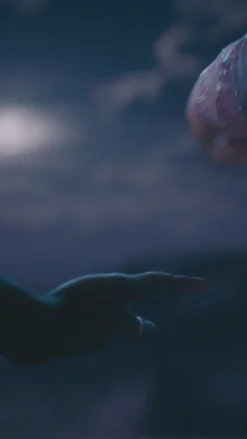 Forever My Friend | 12 Clusters