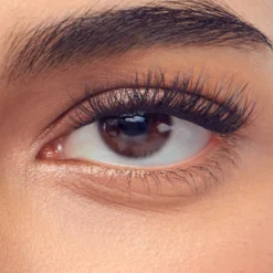 Natural/Volume/Wispy | 60 Individual Lashes