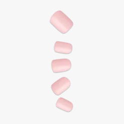 Pastel Dreams Bundle