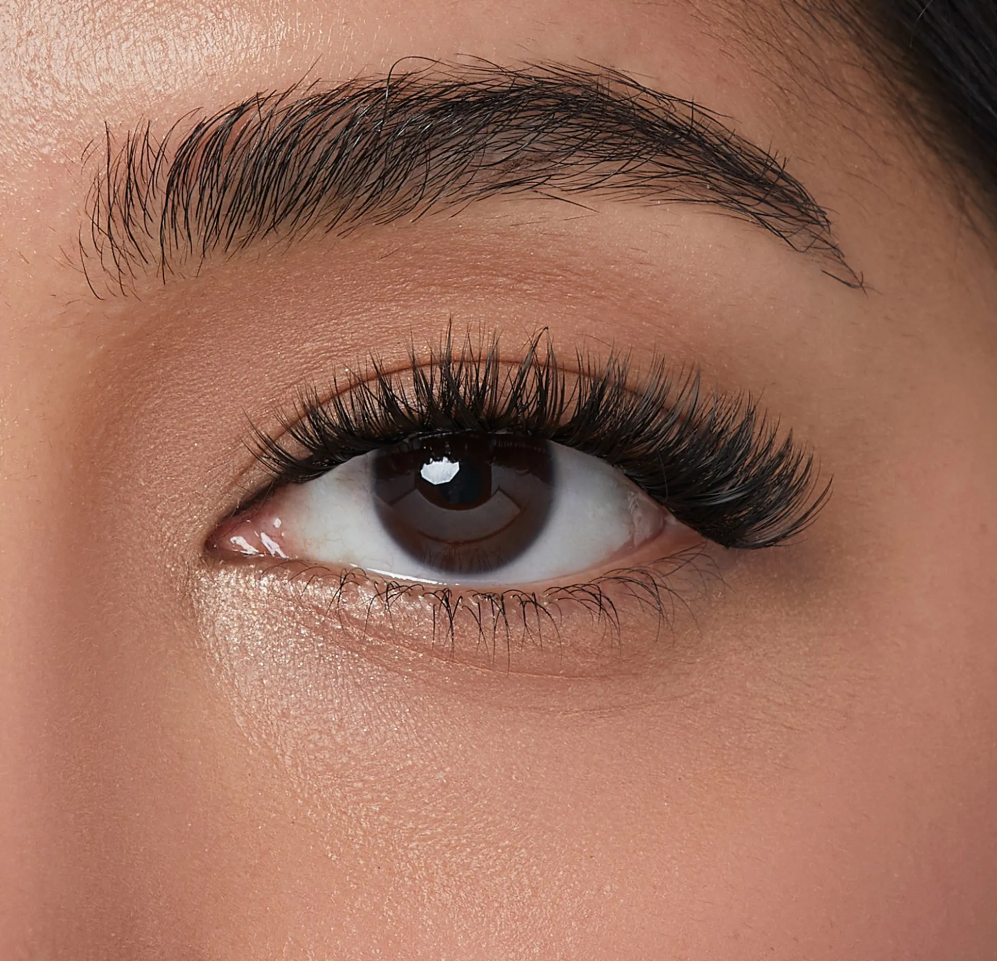 Refined Volume | 12 Clusters