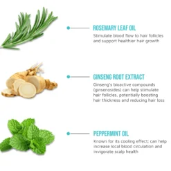 Rosemary & Mint Oil