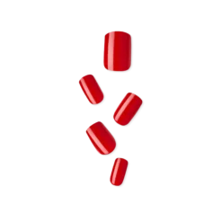 R U Red-y? Bundle