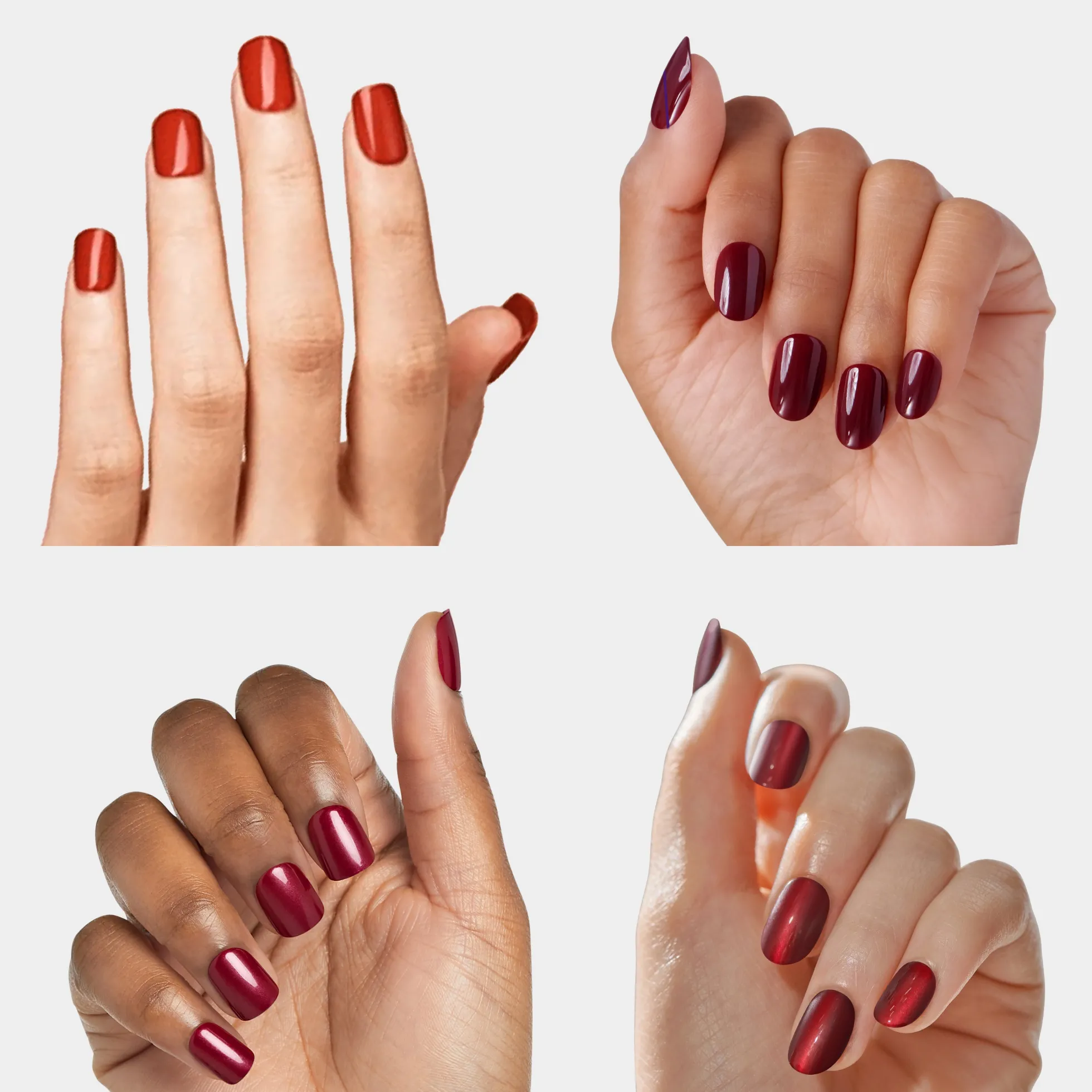 R U Red-y? Bundle